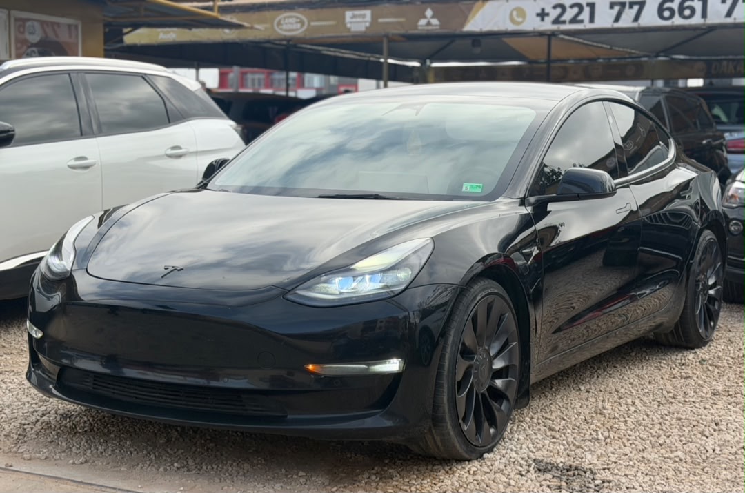 TESLA MODEL 3(DUAL MOTOR AWD)  2022
